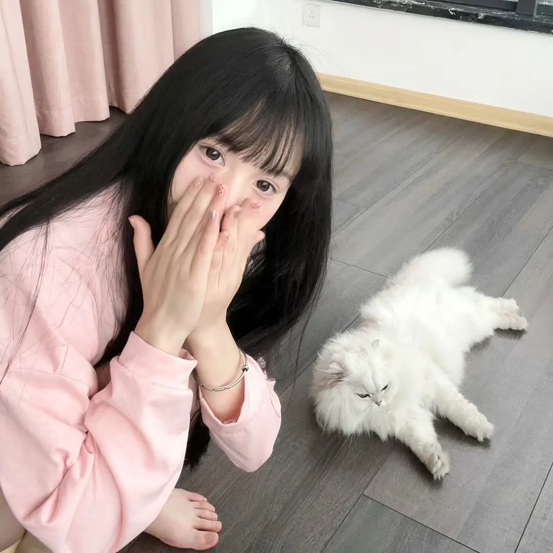 天元突破剧场版：螺岩篇